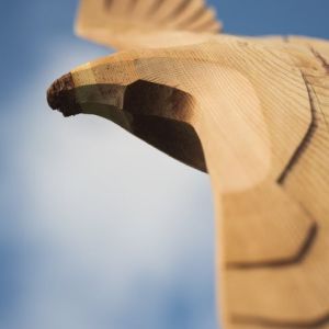 Detailansicht